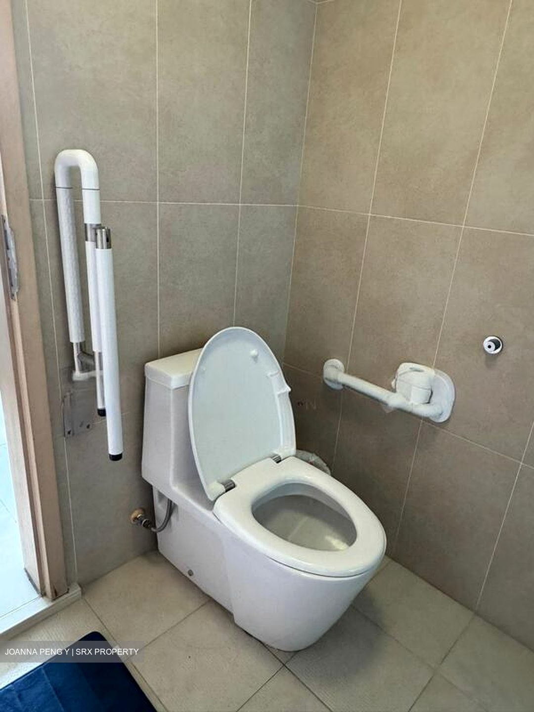 Botannia (D5), Condominium #522788021